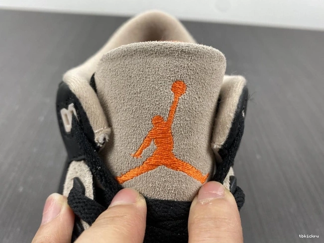 Reps TBK Elephant Desert Jordan Air CT8532-008 3 0706